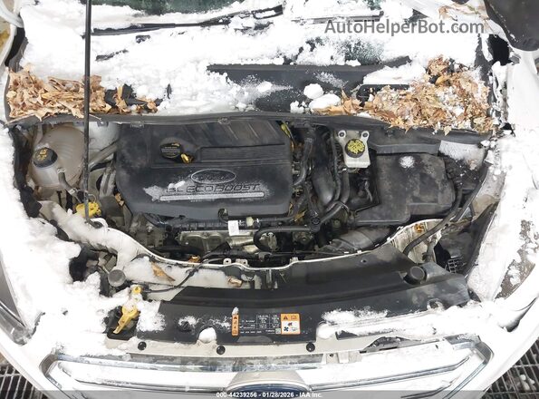 1FMCU9GD7JUB63975 2018 FORD ESCAPE Белый Вид сзади