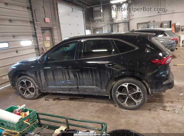 1FMCU9NA3PUB45586 2023 FORD ESCAPE Черный Панорамный вид салона 360°