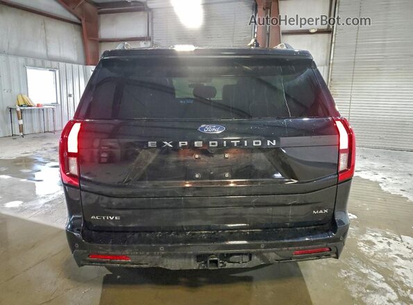 1FMJK1J82SEA23936 2025 FORD EXPEDITION Черный Вид сзади