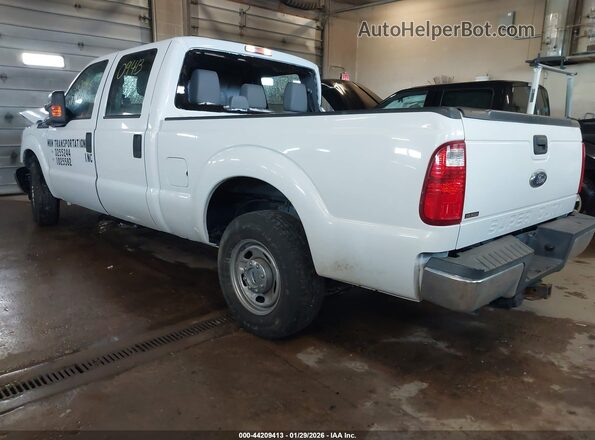 1FT7W2A62GEB83183 2016 FORD F-250 Белый Задняя левая четверть