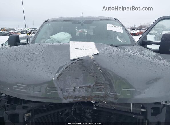 1FT7W2BT1SEC43211 2025 FORD F-250 Серый Вид сзади