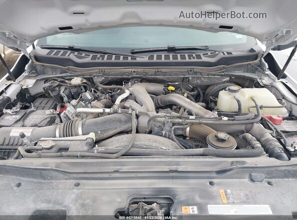 1FT7W2BT7SED39151 2025 FORD F-250 Белый Вид сзади