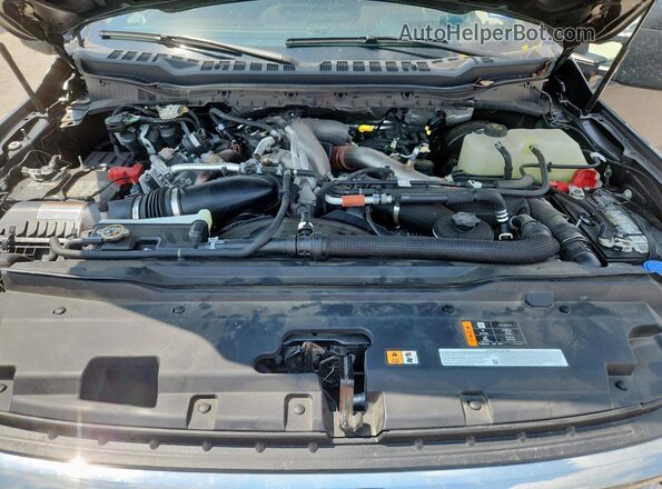 1FT8W2BM5RED83950 2024 FORD F250 Синий Вид задней части салона
