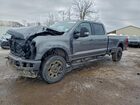 2024 Ford F250 Super Duty Gray vin: 1FT8W2BN1REF59305