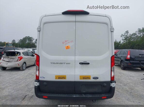 1FTBR1C89RKB70560 2024 FORD TRANSIT-250 Белый 