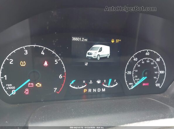 1FTBW1XGXPKA90420 2023 FORD TRANSIT-350 White Widok tylnych siedzeń
