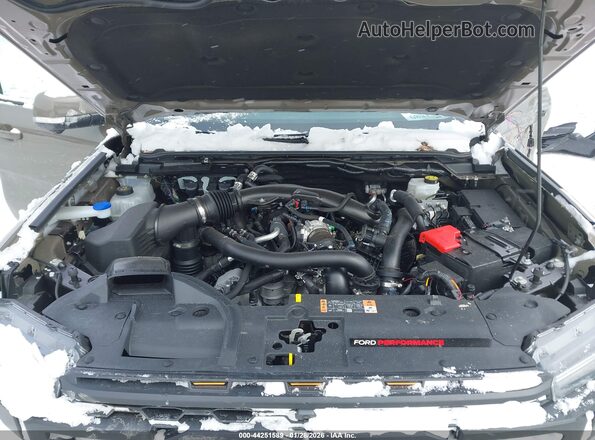 1FTER4LR0SLE30755 2025 FORD RANG Brown უკანა ხედი