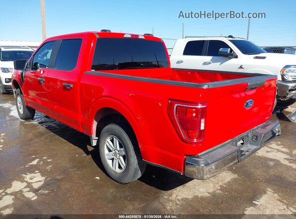 1FTEW1C81PKD34256 2023 FORD F150 Red Задня ліва чверть