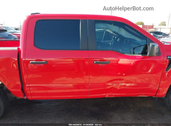 1FTEW1C81PKD34256 2023 FORD F150 Red Вид задньої частини салону
