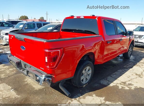 1FTEW1C81PKD34256 2023 FORD F150 Red Задня права чверть