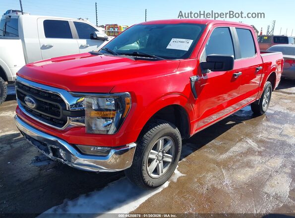 1FTEW1C81PKD34256 2023 FORD F150 Red Передня ліва чверть