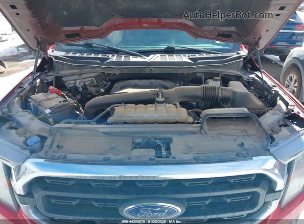 1FTEW1C81PKD34256 2023 FORD F150 Red Вид ззаду