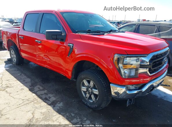 1FTEW1C81PKD34256 2023 FORD F150 Red Вид спереду