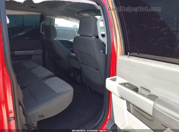1FTEW1C81PKD34256 2023 FORD F150 Red Вид наклейки з VIN-кодом