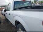 2019 Ford F-150 Xl White vin: 1FTEW1CB2KKE16310