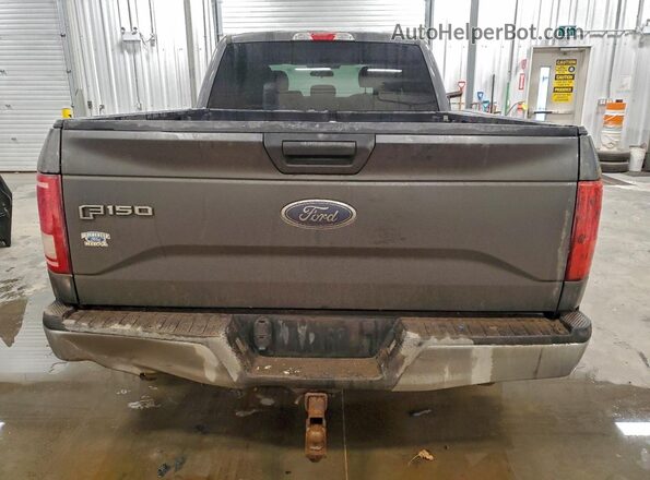 1FTEW1CP9HFC15789 2017 FORD F150 Серый Вид сзади