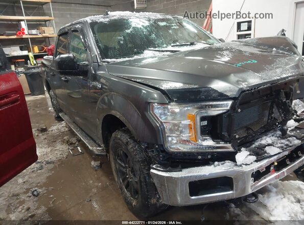 1FTEW1E46LFB21476 2020 FORD F150 Серый Вид спереди