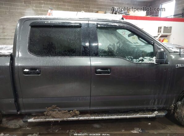 1FTEW1E46LFB21476 2020 FORD F150 Серый Вид задней части салона