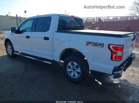 1FTEW1E55LKD67600 2020 FORD F150 Белый Задняя левая четверть