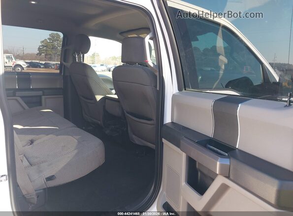 1FTEW1E55LKD67600 2020 FORD F150 Белый Вид наклейки с VIN-кодом