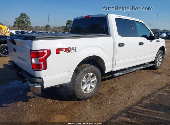 1FTEW1E55LKD67600 2020 FORD F150 Белый Задняя правая четверть