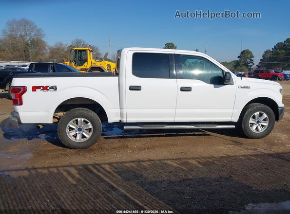 1FTEW1E55LKD67600 2020 FORD F150 Белый Вид задней части салона