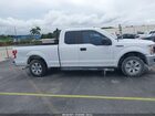 2019 Ford F-150 Xl White vin: 1FTEX1CB8KKC18652