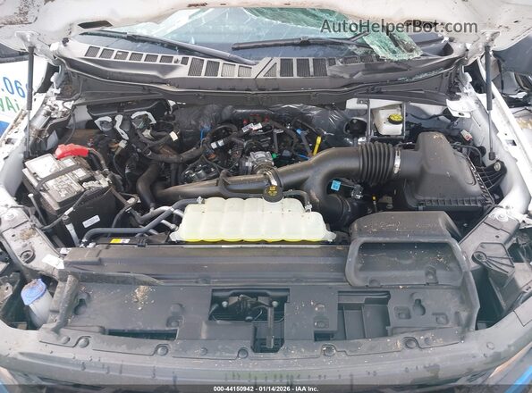 1FTEX1KP0SKE29647 2025 FORD F150  Вид ззаду