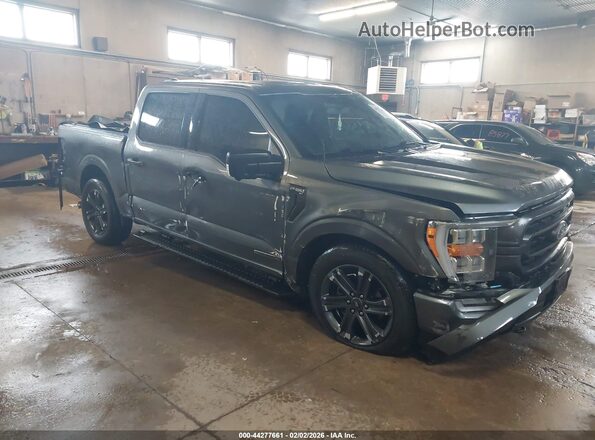 1FTFW1ED8PFD05750 2023 FORD F150 Gray Front right