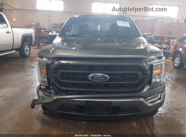 1FTFW1ED8PFD05750 2023 FORD F150 Gray Rear interior view