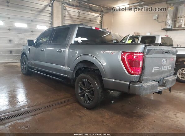 1FTFW1ED8PFD05750 2023 FORD F150 Gray Rear left