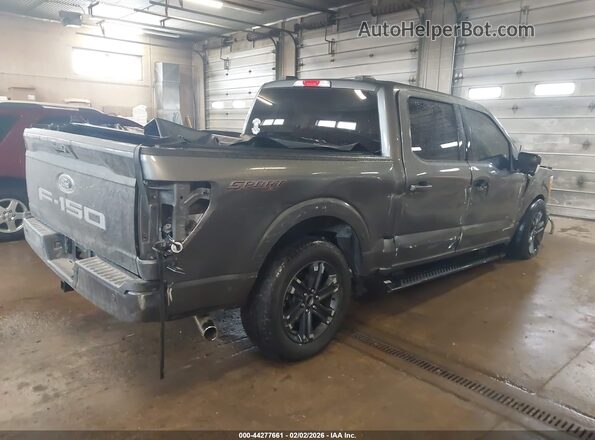 1FTFW1ED8PFD05750 2023 FORD F150 Gray Rear right