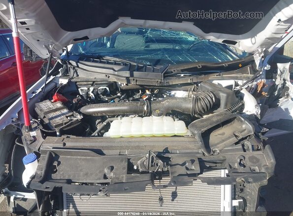 1FTFW3L87SFB67712 2025 FORD F150 Кремовый Вид сзади