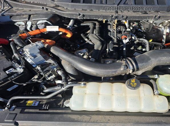 1FTFW3LD7RFB48259 2024 FORD F150  Вид спереди