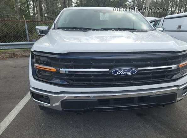1FTFW3LD7RFB48259 2024 FORD F150  Задняя левая четверть