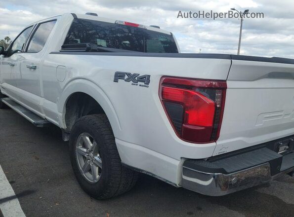 1FTFW3LD7RFB48259 2024 FORD F150  Вид сзади
