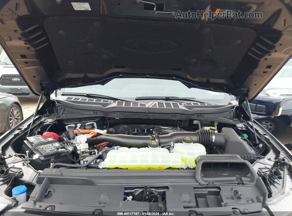 1FTFW5LD0SFC08335 2025 FORD F150 Черный Вид сзади