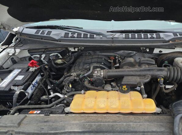 1FTMF1CB9JKD86233 2018 FORD F150 White 