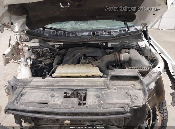 1FTMF1EP2JFA18106 2018 FORD F150 Белый Вид сзади