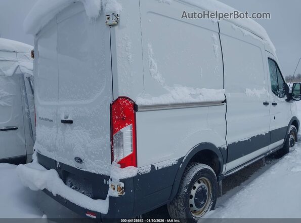 1FTYR1CM7GKB33172 2016 FORD TRANSIT-250 White Tył prawy