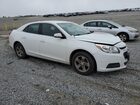 2016 Chevrolet Malibu Limited Lt White vin: 1G11C5SA3GF158282