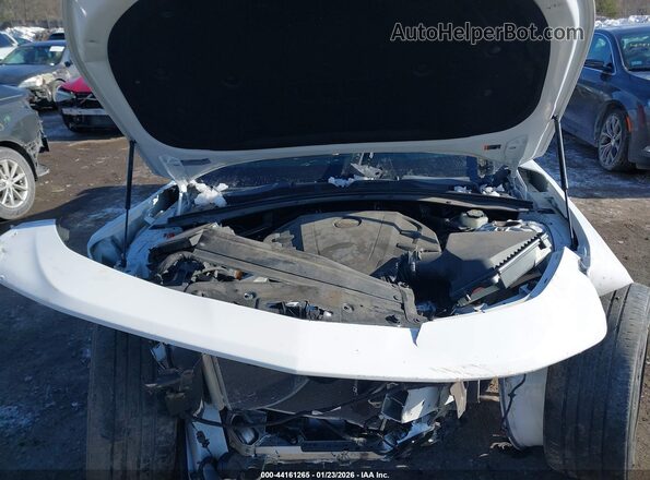 1G1FD3DS4K0140995 2019 CHEVROLET CAMARO White Вид ззаду