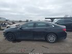 2019 Chevrolet Malibu 1ls Черный vin: 1G1ZB5ST0KF192213