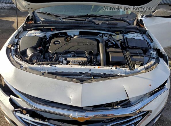 1G1ZC5ST1KF208366 2019 CHEVROLET MALIBU Белый Вид задней части салона
