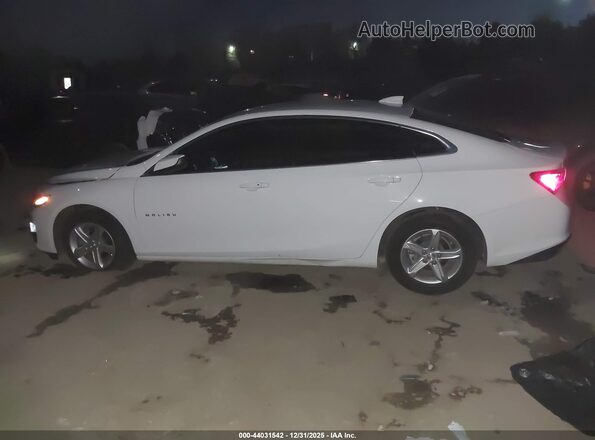 1G1ZD5ST4RF208725 2024 CHEVROLET MALIBU Белый Панорамный вид салона 360°