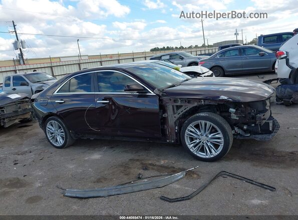 1G6DB5RK7M0117614 2021 CADILLAC CT4 Темно-бордовый Вид задней части салона