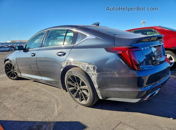 1G6DM5RK0L0147062 2020 CADILLAC CT5 Серый Задняя левая четверть