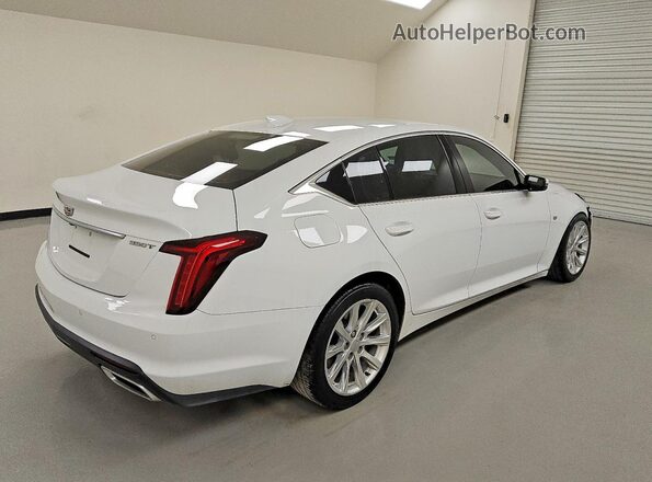 1G6DM5RK4P0127886 2023 CADILLAC CT5 Белый Задняя правая четверть