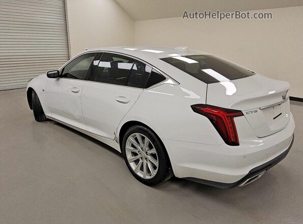 1G6DM5RK4P0127886 2023 CADILLAC CT5 Белый Задняя левая четверть