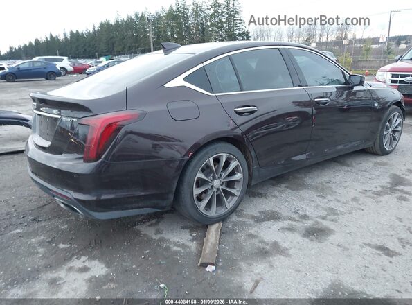 1G6DN5RK2M0112246 2021 CADILLAC CT5 Burgundy Tył prawy